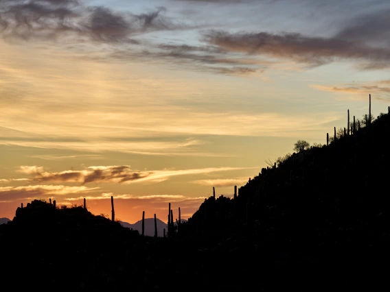 Tucson sunset