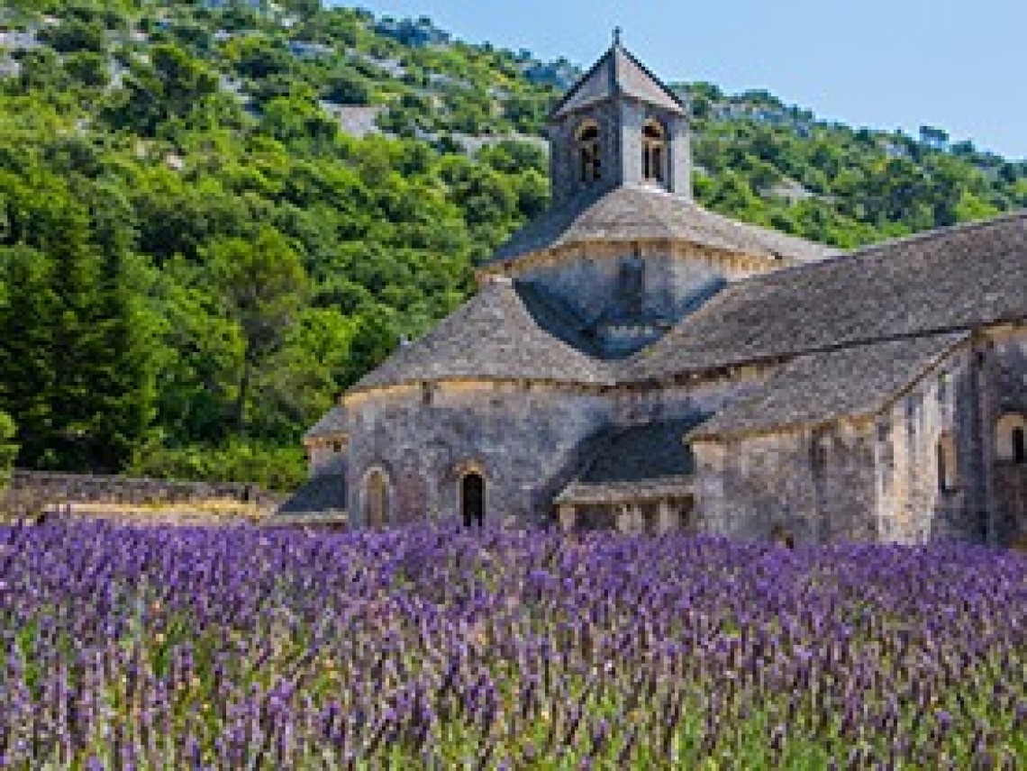 stone building in field of purple flowers
