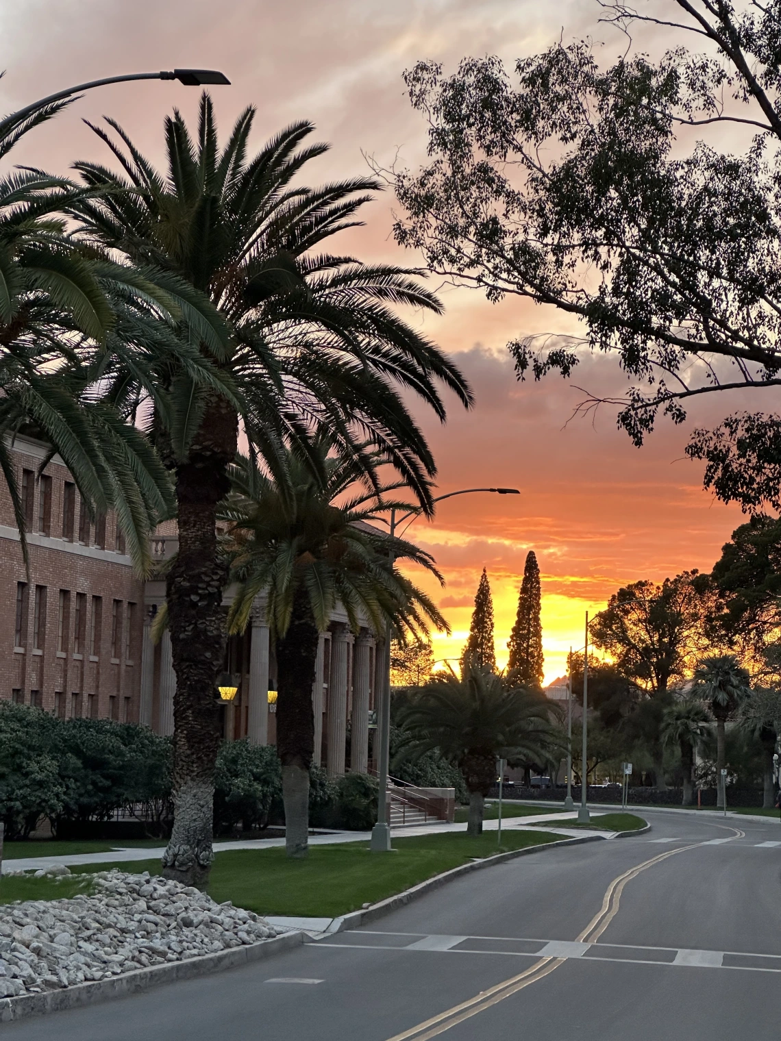 sunset on UA campus